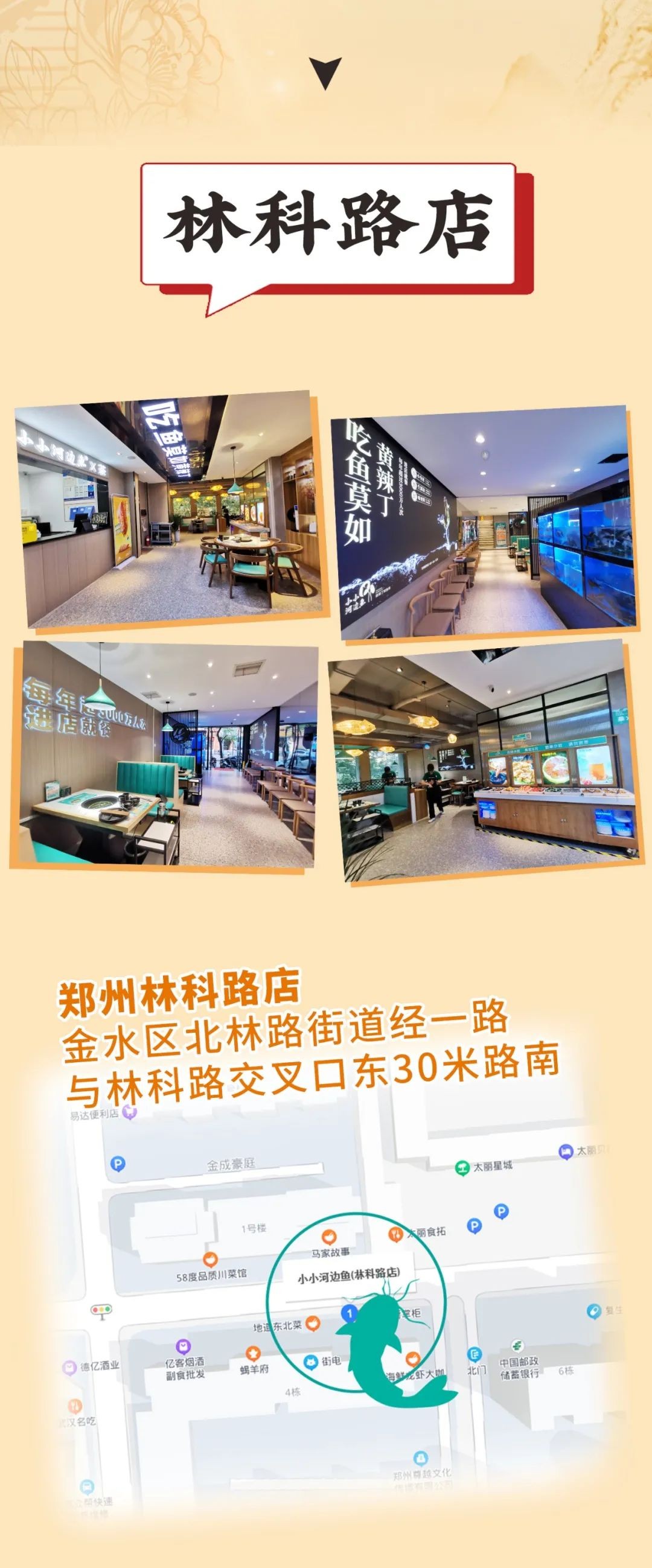 0ef8a5a7db0a89c10154c102e2424eb9.jpg